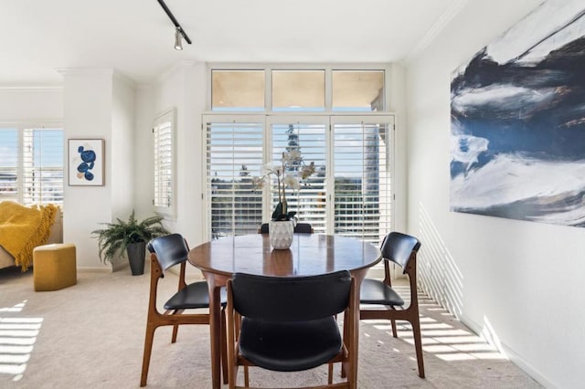 carpeted dining space with track lighting and crown molding