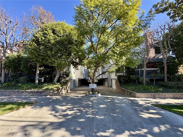 view of street featuring driveway