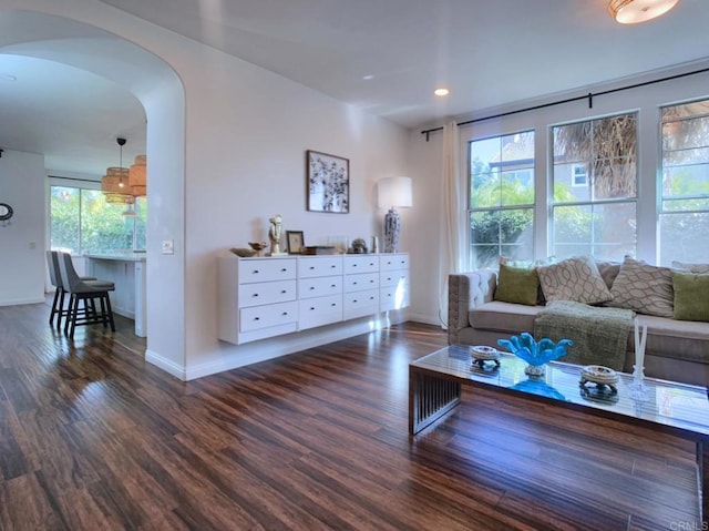 living room featuring a healthy amount of sunlight and dark hardwood / wood-style floors