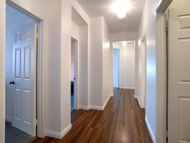 hallway with dark wood-type flooring