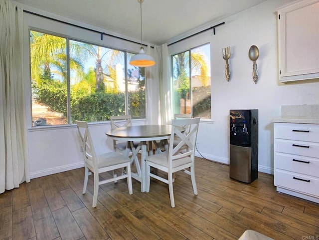 dining room featuring dark wood-type flooring