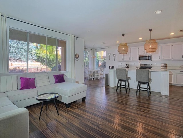 living room featuring dark hardwood / wood-style floors