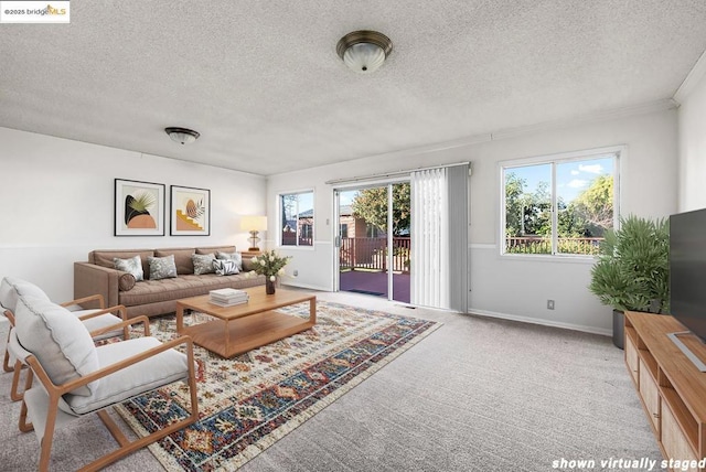 carpeted living room with crown molding and a textured ceiling