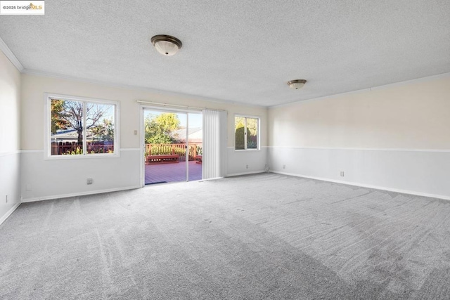 empty room with ornamental molding, carpet floors, and a textured ceiling