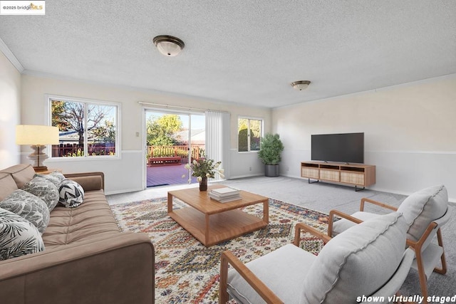 carpeted living room with crown molding and a textured ceiling