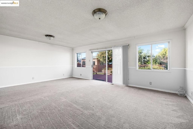 spare room with crown molding, carpet flooring, and a textured ceiling