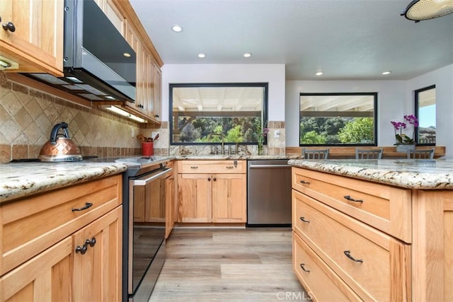 kitchen with light stone counters, a healthy amount of sunlight, light hardwood / wood-style floors, and stainless steel appliances