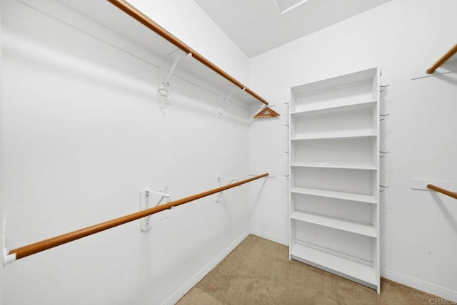 walk in closet featuring light colored carpet