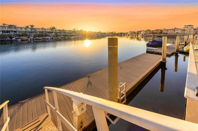 dock area with a water view