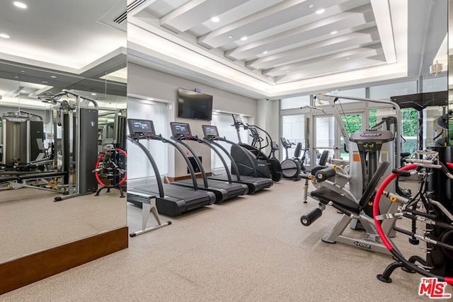 exercise room featuring a tray ceiling