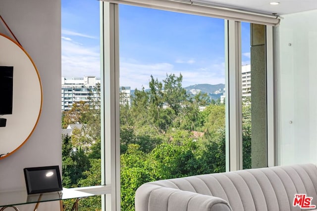 interior space featuring a mountain view, a wealth of natural light, and radiator heating unit