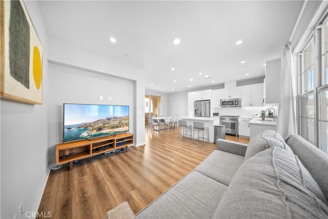 living room featuring light hardwood / wood-style floors