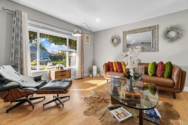 living room featuring light hardwood / wood-style floors