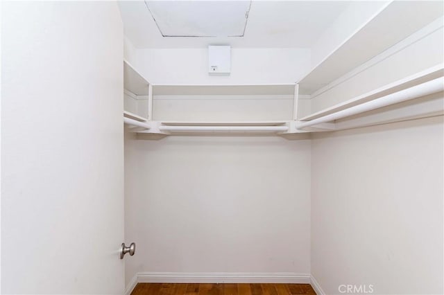 spacious closet featuring dark wood-type flooring