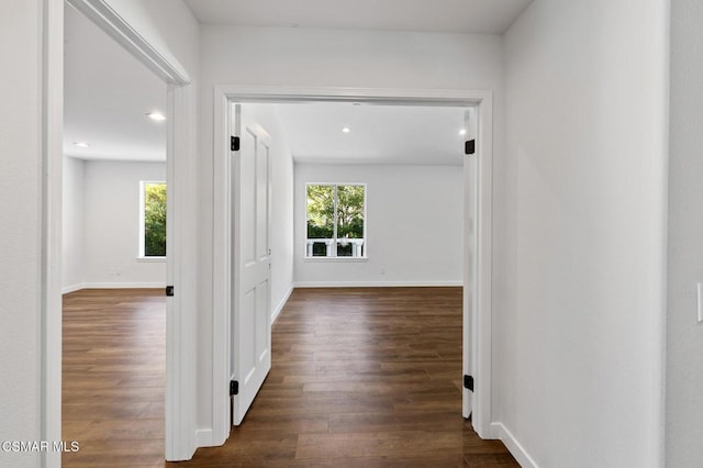 hallway featuring a healthy amount of sunlight and dark hardwood / wood-style flooring