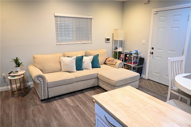 living room featuring dark hardwood / wood-style flooring