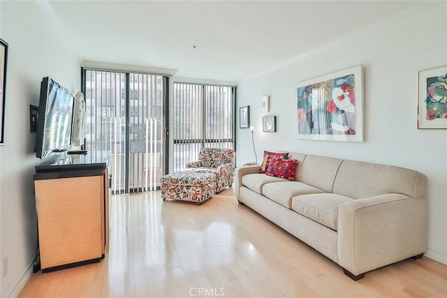 living room with a wall of windows and light hardwood / wood-style floors