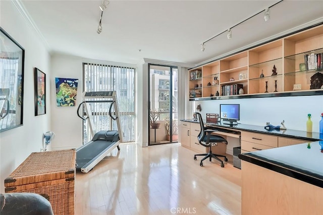 office featuring rail lighting, ornamental molding, light wood-type flooring, and built in desk