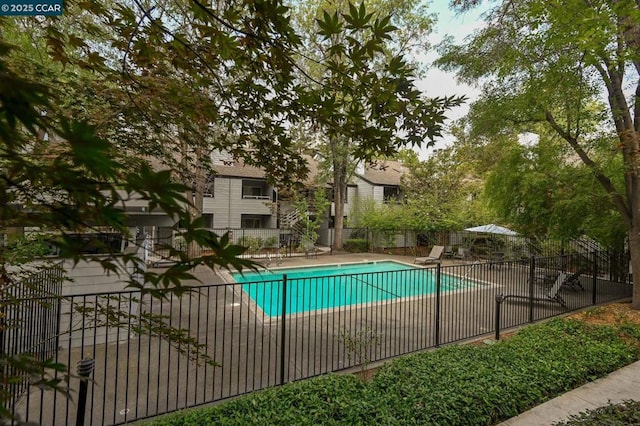 view of pool with a patio area