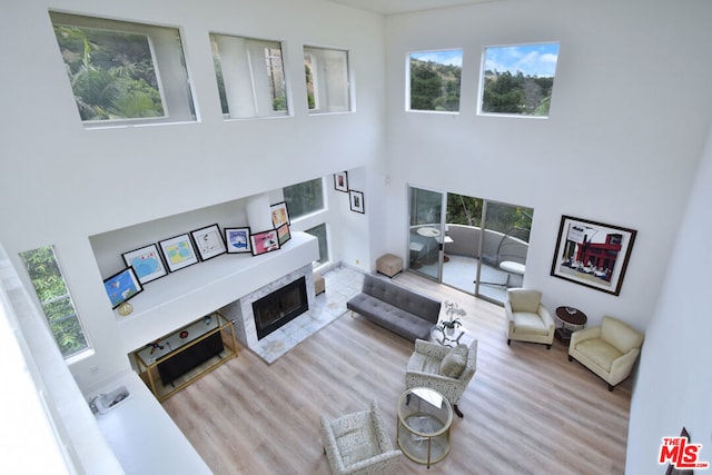 living room with light wood-type flooring