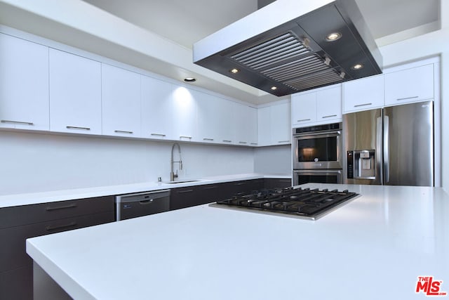 kitchen featuring sink, white cabinets, range hood, and stainless steel appliances