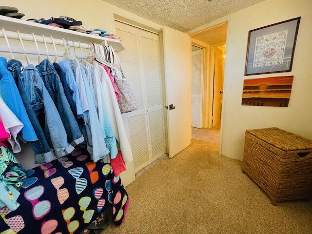 walk in closet featuring carpet