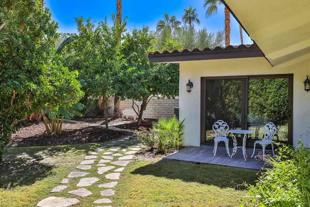 view of yard featuring a patio area