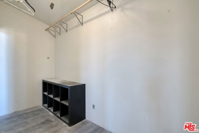 spacious closet featuring wood-type flooring