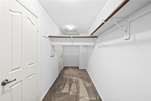 walk in closet featuring carpet floors