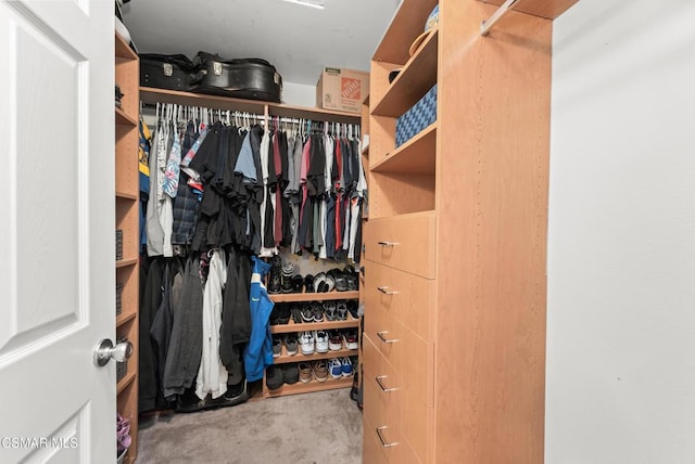 view of spacious closet