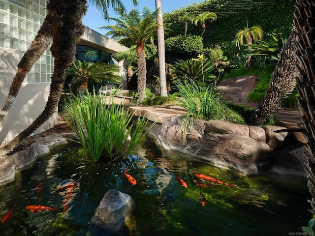 view of yard with a small pond