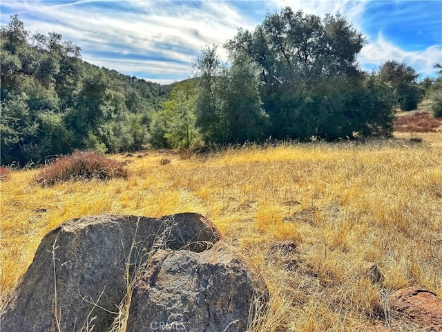 5672 Forest Meadow Rd, Julian CA, 92036 land for sale