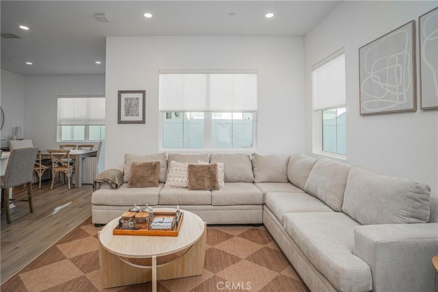 living room featuring wood-type flooring