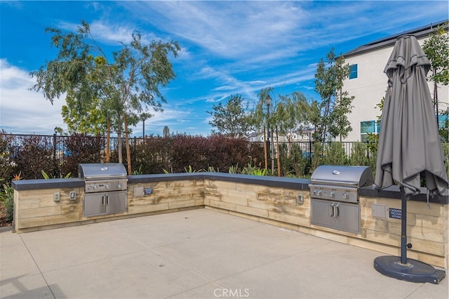 view of patio / terrace with a grill and an outdoor kitchen