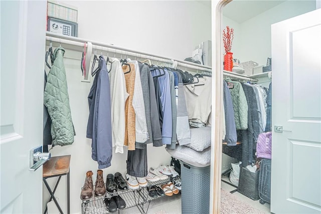 view of spacious closet