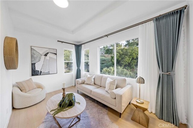 living room with hardwood / wood-style floors