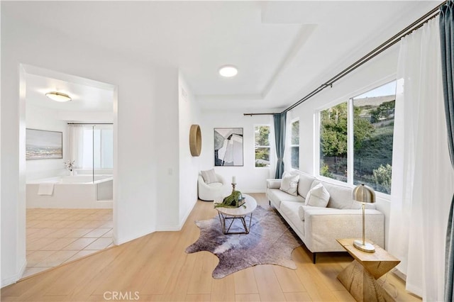 living room with light hardwood / wood-style flooring