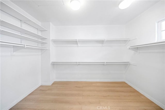 walk in closet featuring wood finished floors