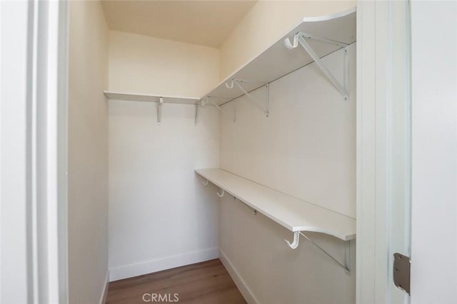 spacious closet featuring hardwood / wood-style flooring