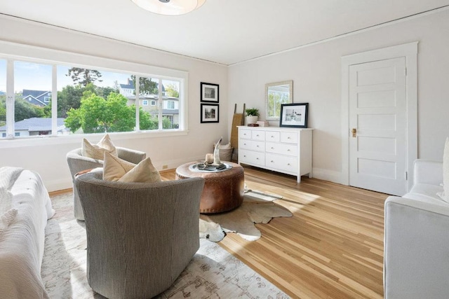 sitting room with light hardwood / wood-style flooring