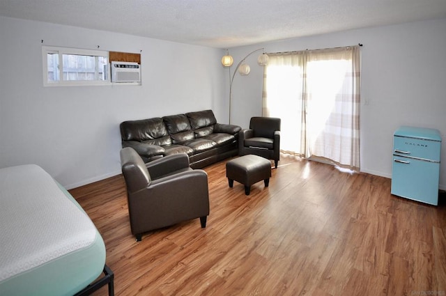 living room with an AC wall unit and hardwood / wood-style floors