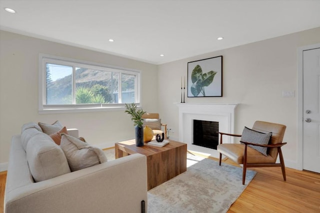 living room with hardwood / wood-style flooring