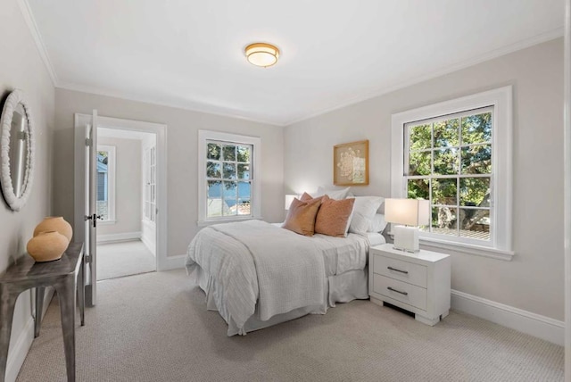 carpeted bedroom with crown molding and multiple windows