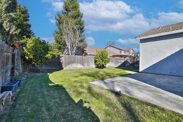 view of yard featuring a patio