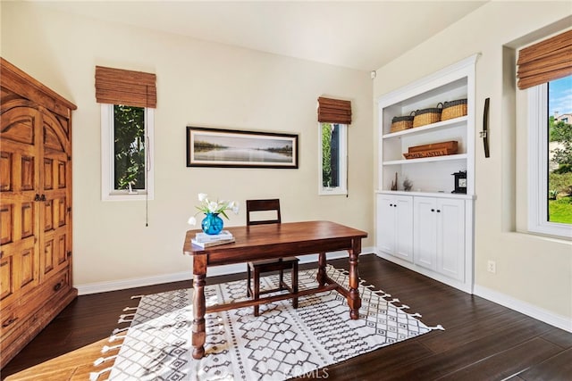 office featuring dark hardwood / wood-style flooring