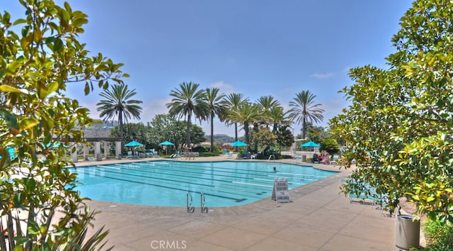 view of swimming pool featuring a patio area and a gazebo