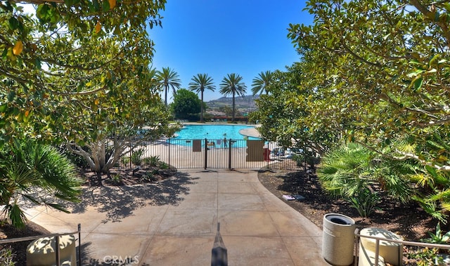 view of pool with a patio