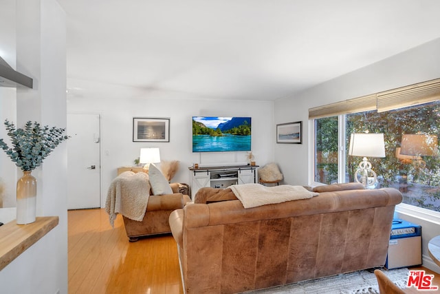 living room with wood-type flooring