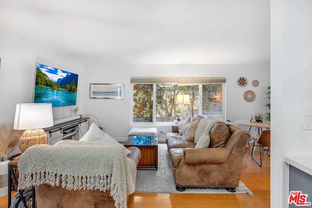 living room featuring light wood-type flooring