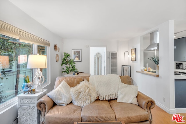 living room with hardwood / wood-style floors